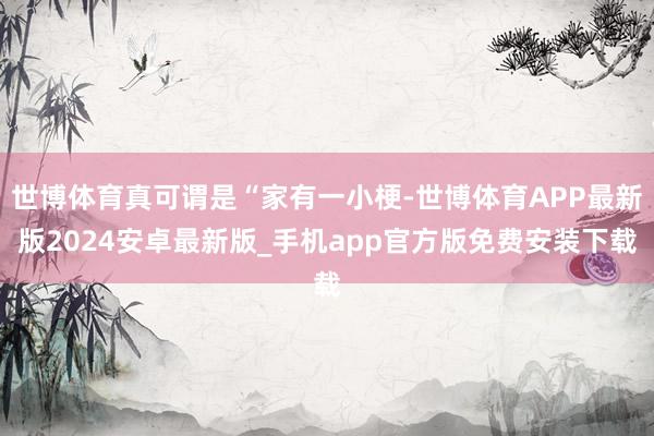 世博体育真可谓是“家有一小梗-世博体育APP最新版2024安卓最新版_手机app官方版免费安装下载