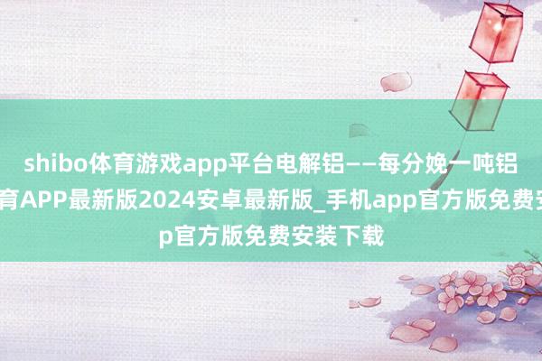 shibo体育游戏app平台电解铝——每分娩一吨铝-世博体育APP最新版2024安卓最新版_手机app官方版免费安装下载