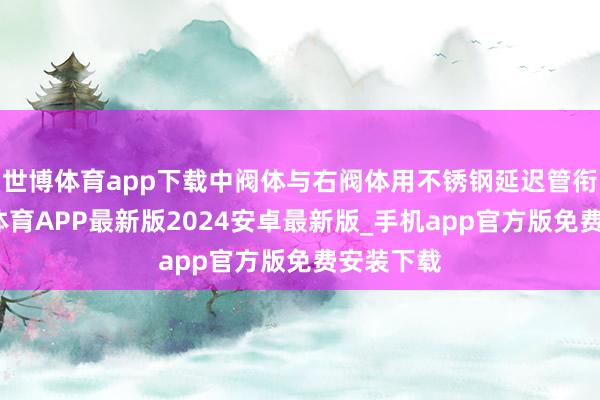 世博体育app下载中阀体与右阀体用不锈钢延迟管衔接-世博体育APP最新版2024安卓最新版_手机app官方版免费安装下载