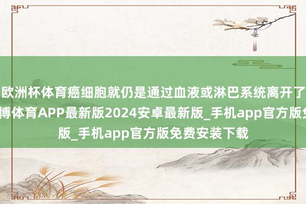 欧洲杯体育癌细胞就仍是通过血液或淋巴系统离开了原发部位-世博体育APP最新版2024安卓最新版_手机app官方版免费安装下载