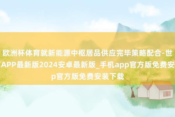 欧洲杯体育就新能源中枢居品供应完毕策略配合-世博体育APP最新版2024安卓最新版_手机app官方版免费安装下载